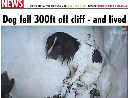 Reprodu��o (thesun.co.uk)