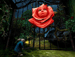 Jogo de Alice no País das Maravilhas chega na semana que vem
