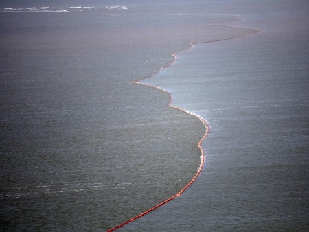 Mancha de petróleo no Golfo do México afetou o ecossistema da região.