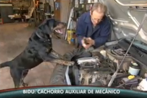 Mecânico