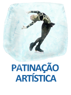 Patinação artística
