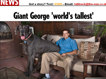 Reprodução (thesun.co.uk)